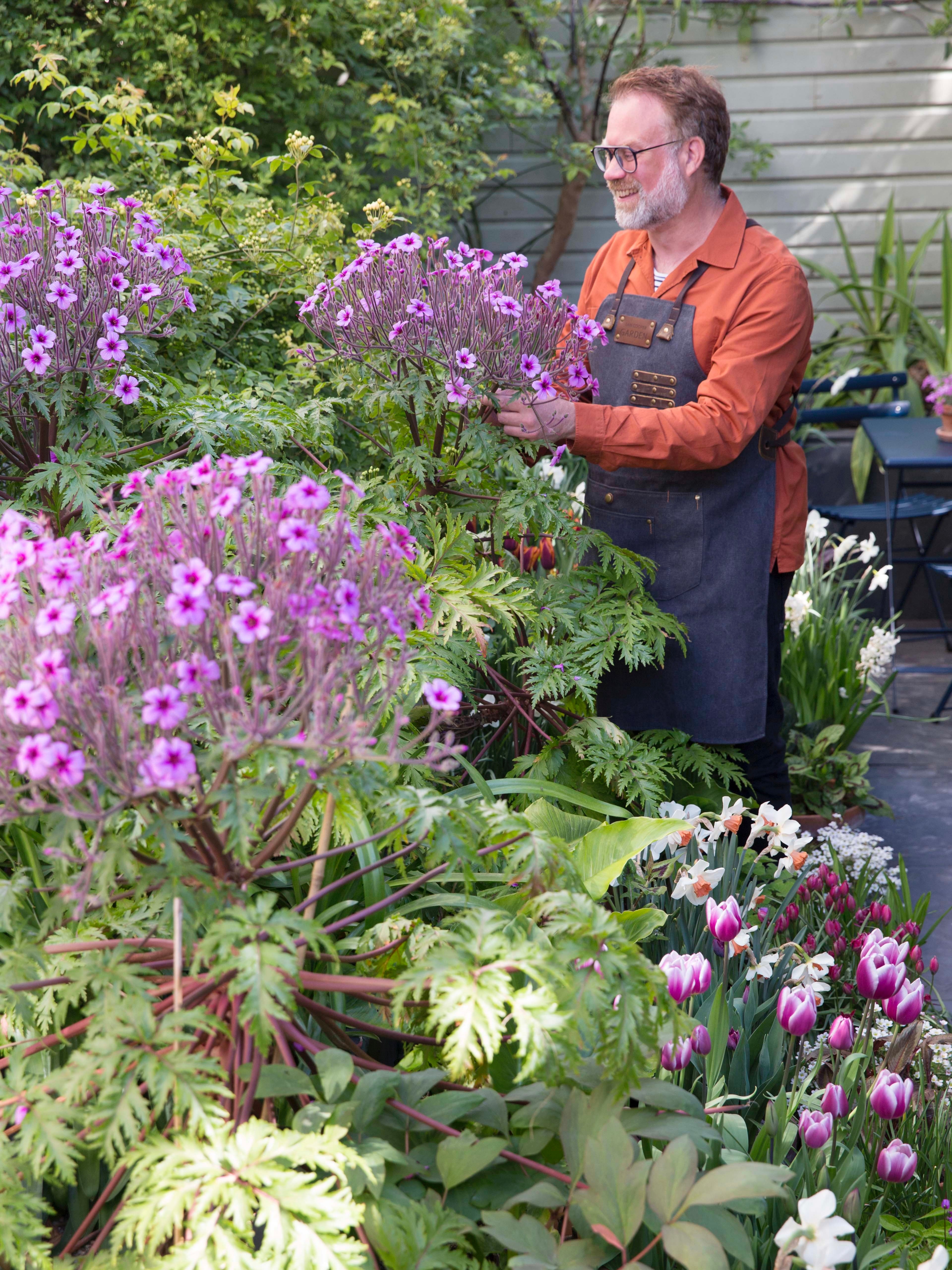 garden-consultations-dan-cooper-garden