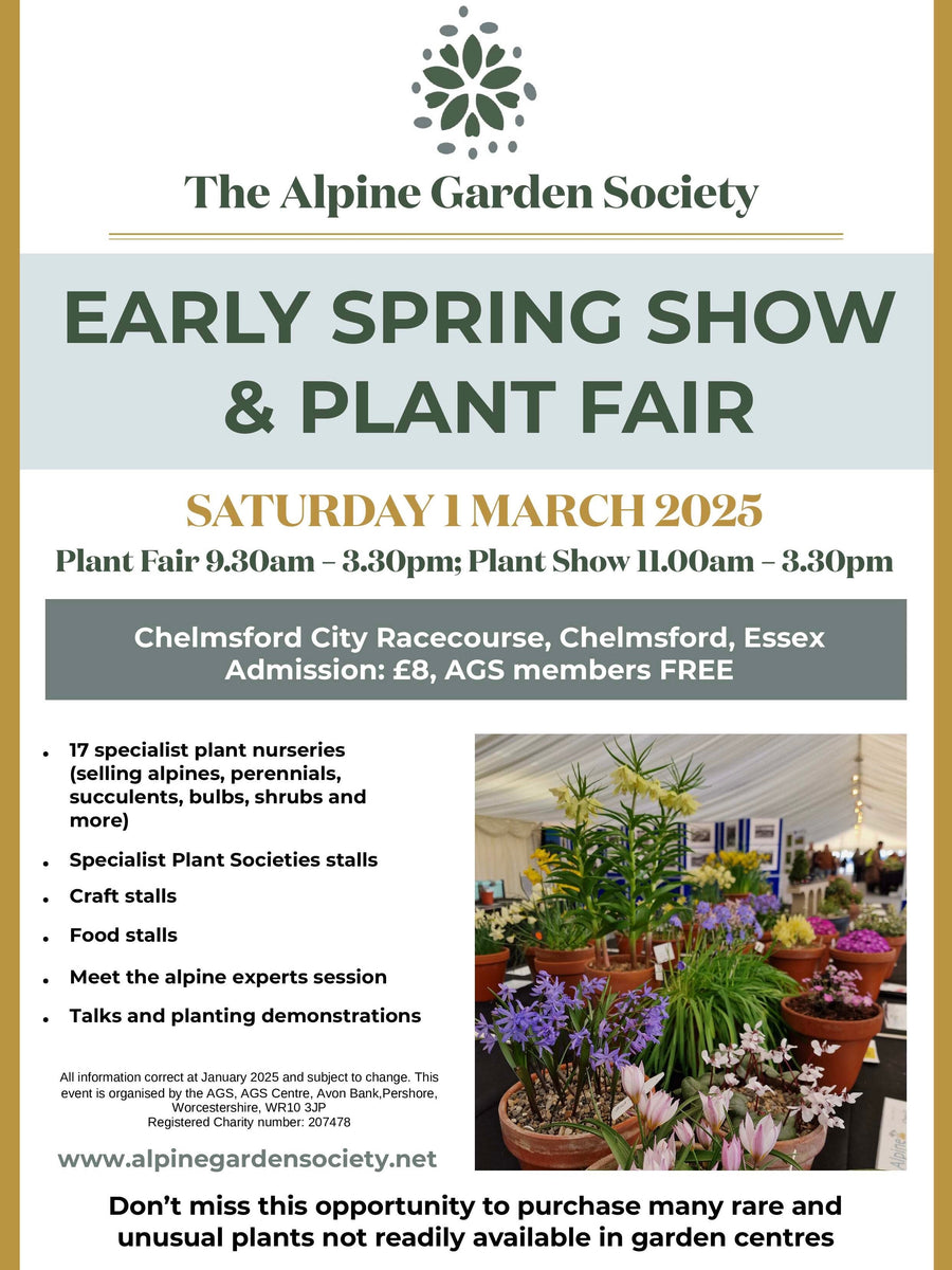 Alpine Garden Society Early Spring Show, Chelmsford