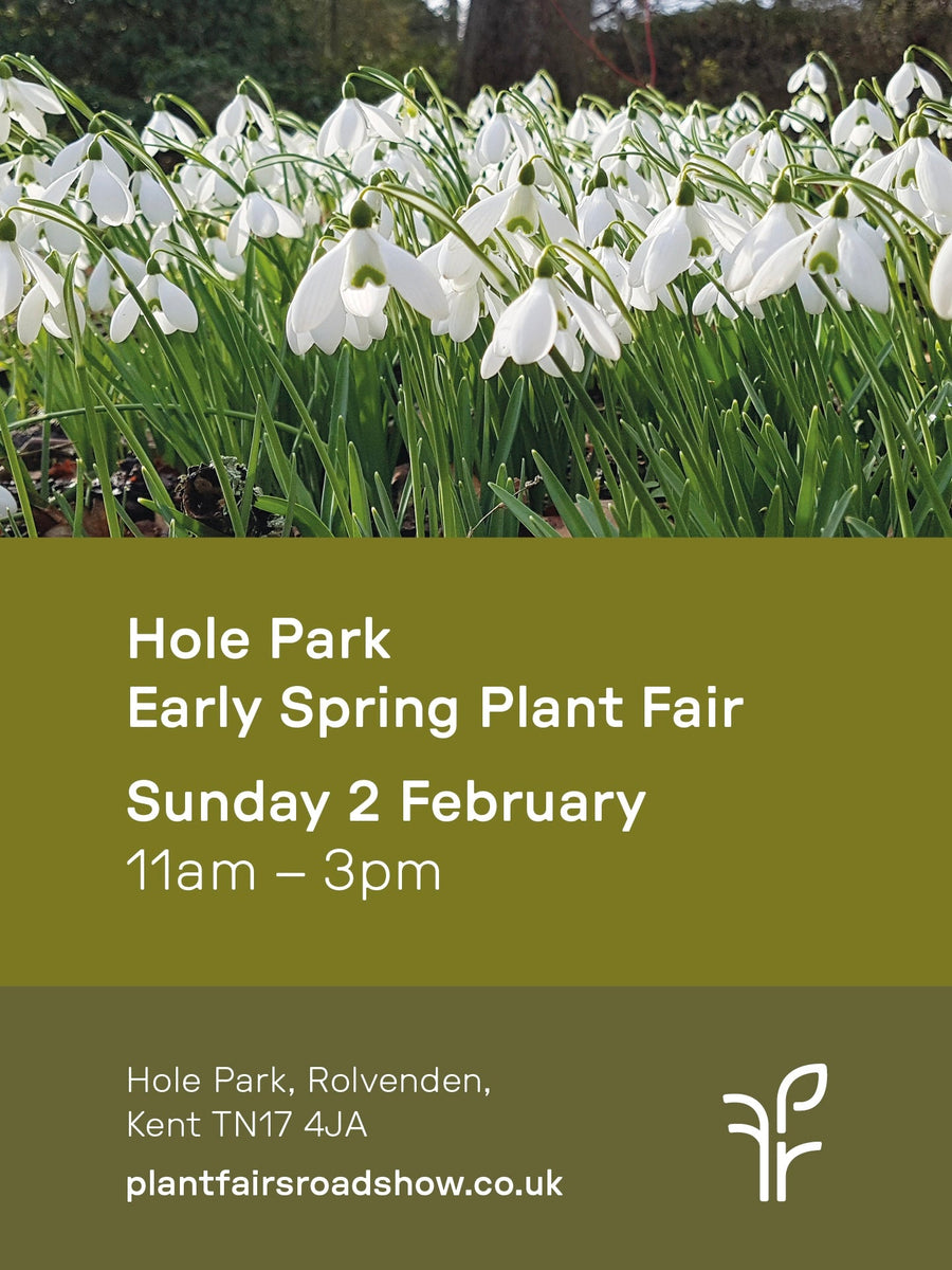 Snowdrop & Spring Fair, Hole Park Garden