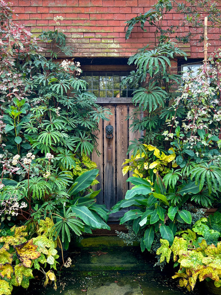 Your Garden In September