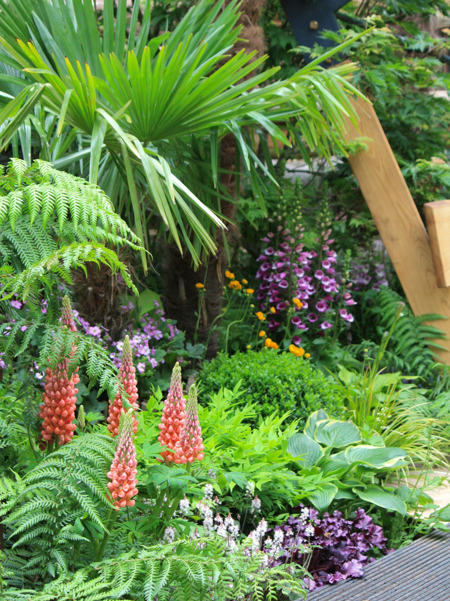 3 Ways To Freshen a Midsummer Flower Garden