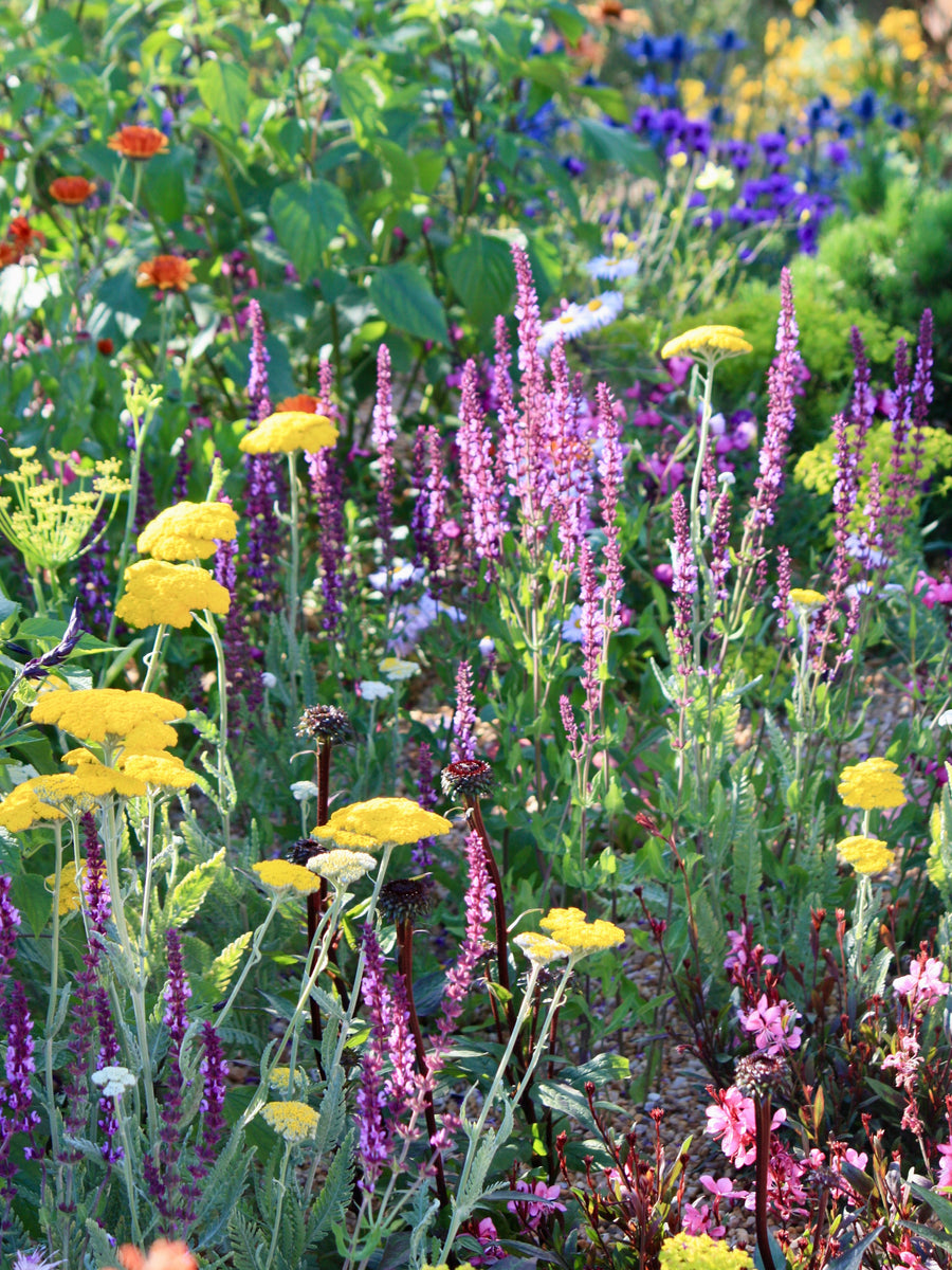 Plant Fairs Roadshow, Hole Park