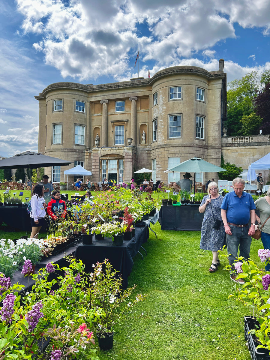 Rare Plant Fair, American Museum, Bath