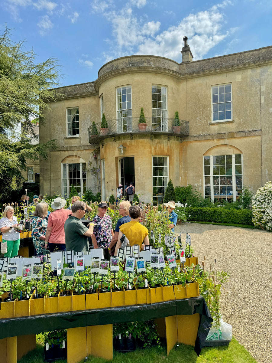 Rare Plant Fair, Salthrop House, Wiltshire