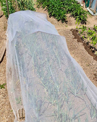 Insectonet Plastic-Free Insect Net