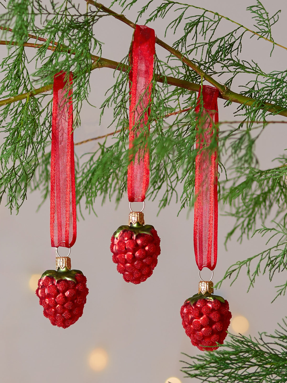 Dan Cooper Garden Raspberry Christmas Decoration