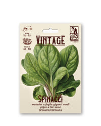 Franchi Seeds - Spinach 'Matador'