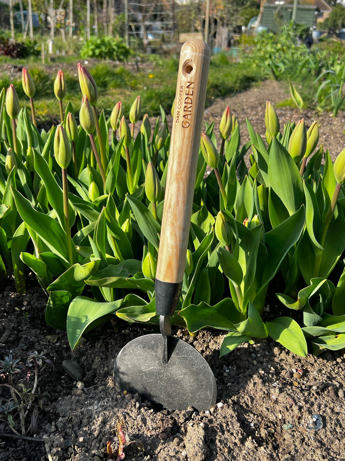 Signature Dutch Style Planting Trowel