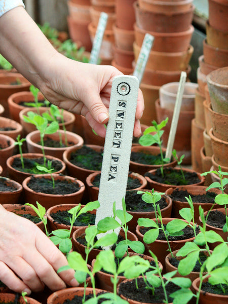 'Sweet Pea' Handmade Stoneware Plant Label