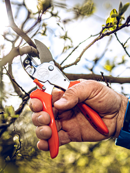 Original LÖWE 1.104, The Original Anvil Secateurs