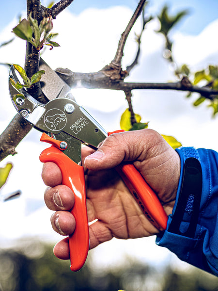 Original LÖWE 10.107, The Original Anvil Secateurs