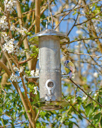 Plastic-Free, Stainless Steel Bird Feeder