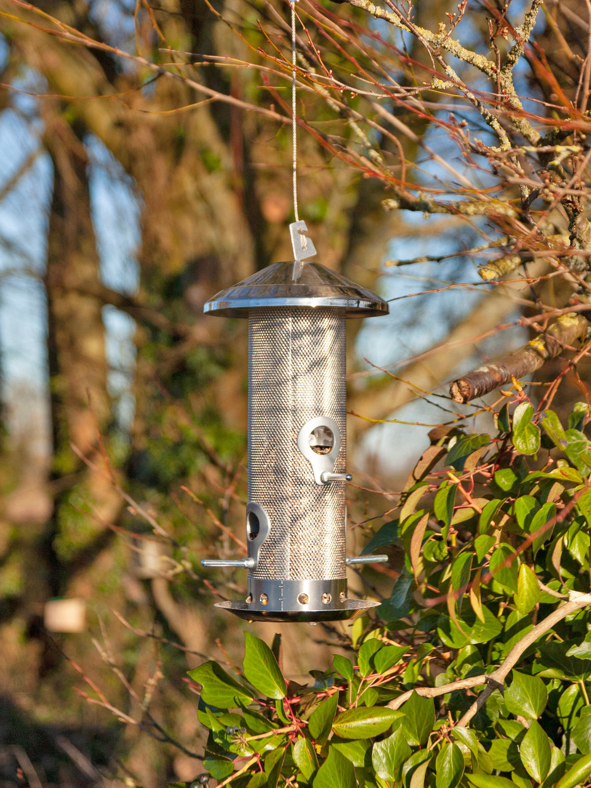 Plastic-Free, Stainless Steel Bird Feeder