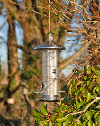 Plastic-Free, Stainless Steel Bird Feeder