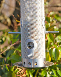 Plastic-Free, Stainless Steel Bird Feeder