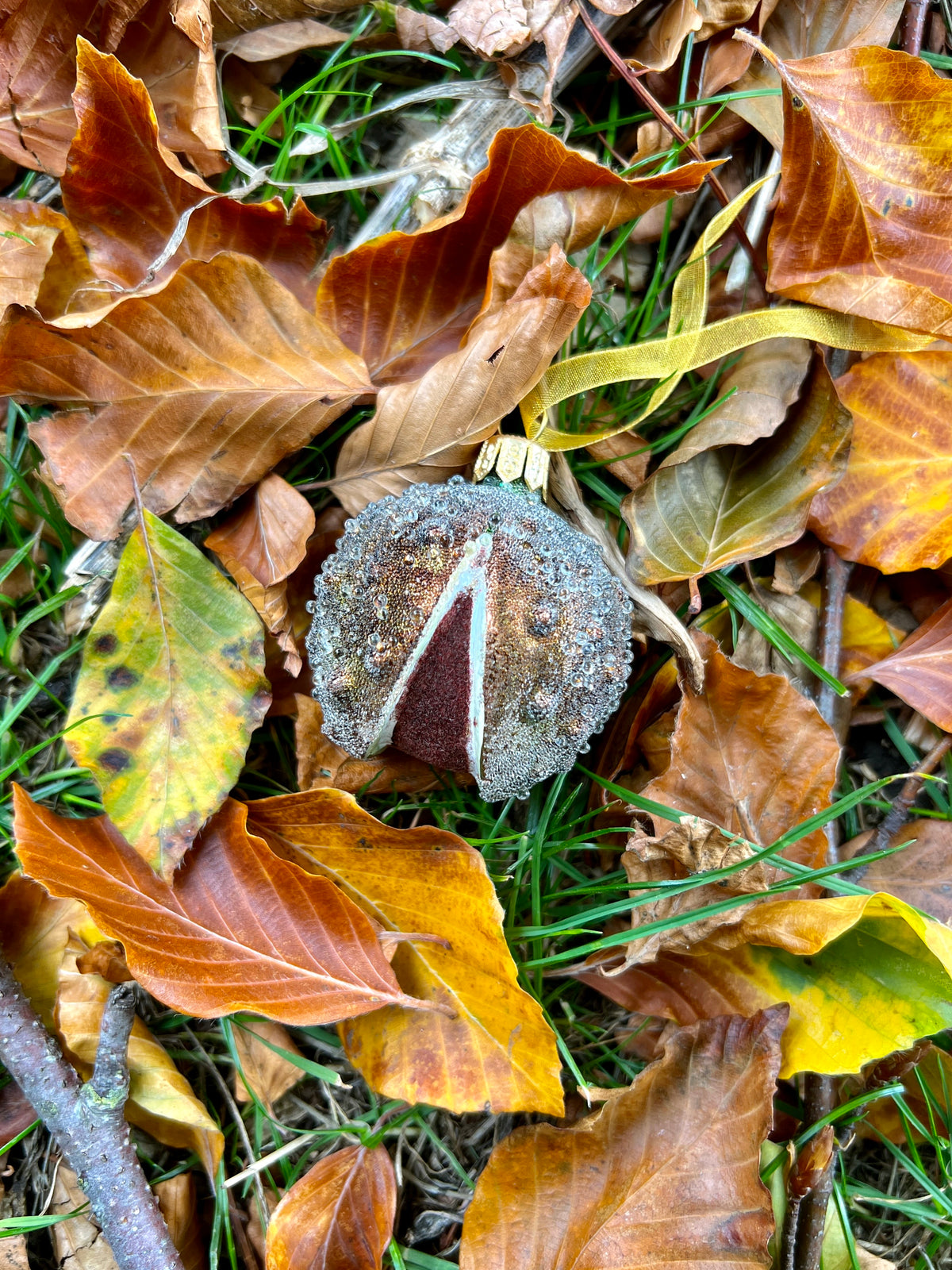 Dan Cooper Garden Conker Christmas Decoration