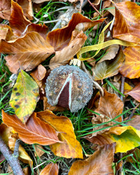 Dan Cooper Garden Conker Christmas Decoration