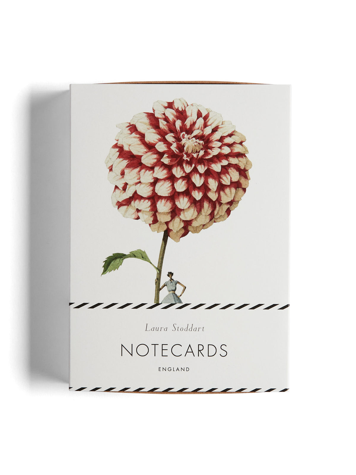 Laura Stoddart Dahlia Notecards