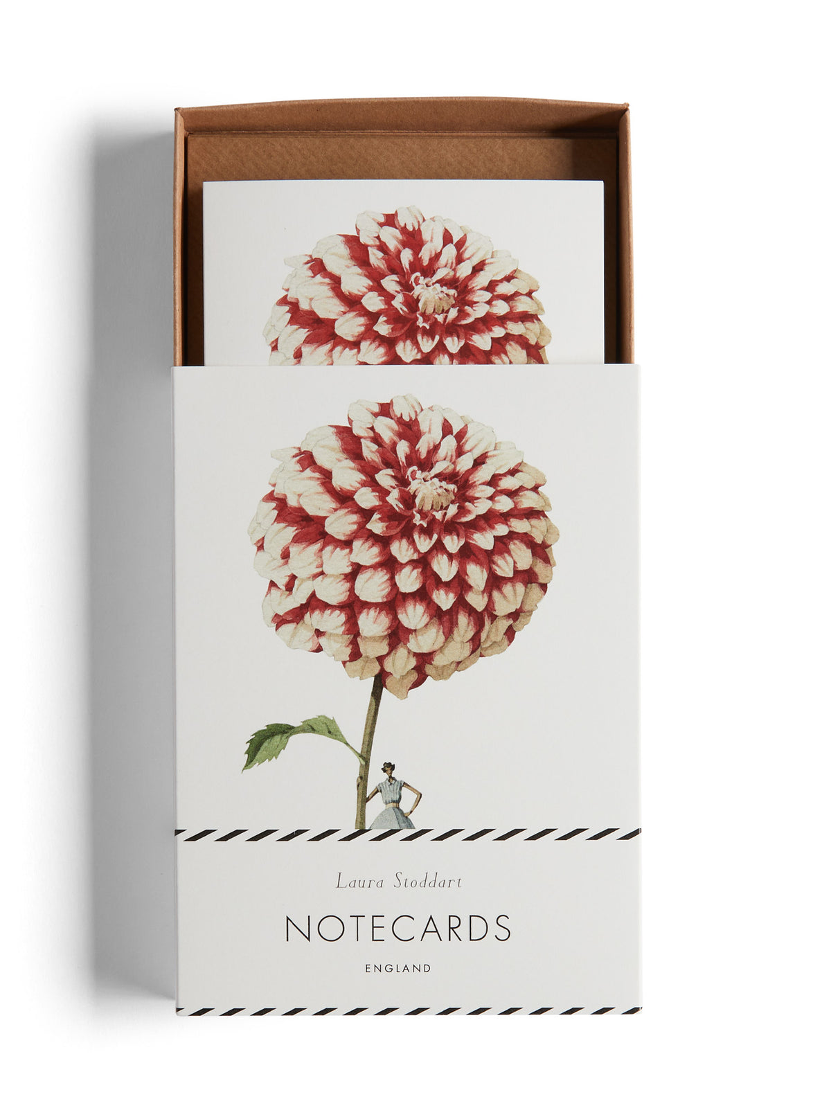 Laura Stoddart Dahlia Notecards